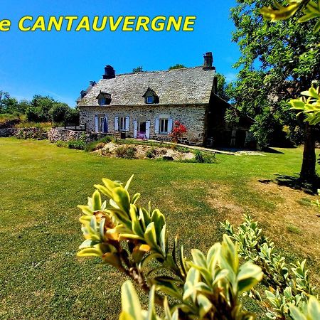 Villa Gite CANTAUVERGNE à Vebret Extérieur photo