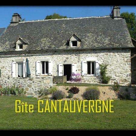 Villa Gite CANTAUVERGNE à Vebret Extérieur photo