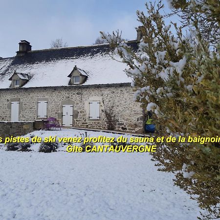 Villa Gite CANTAUVERGNE à Vebret Extérieur photo