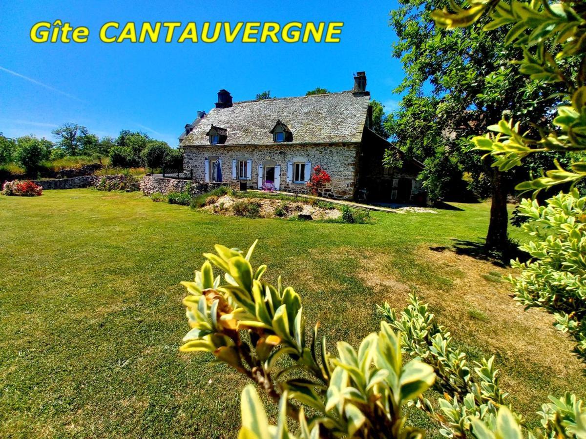 Villa Gite CANTAUVERGNE à Vebret Extérieur photo