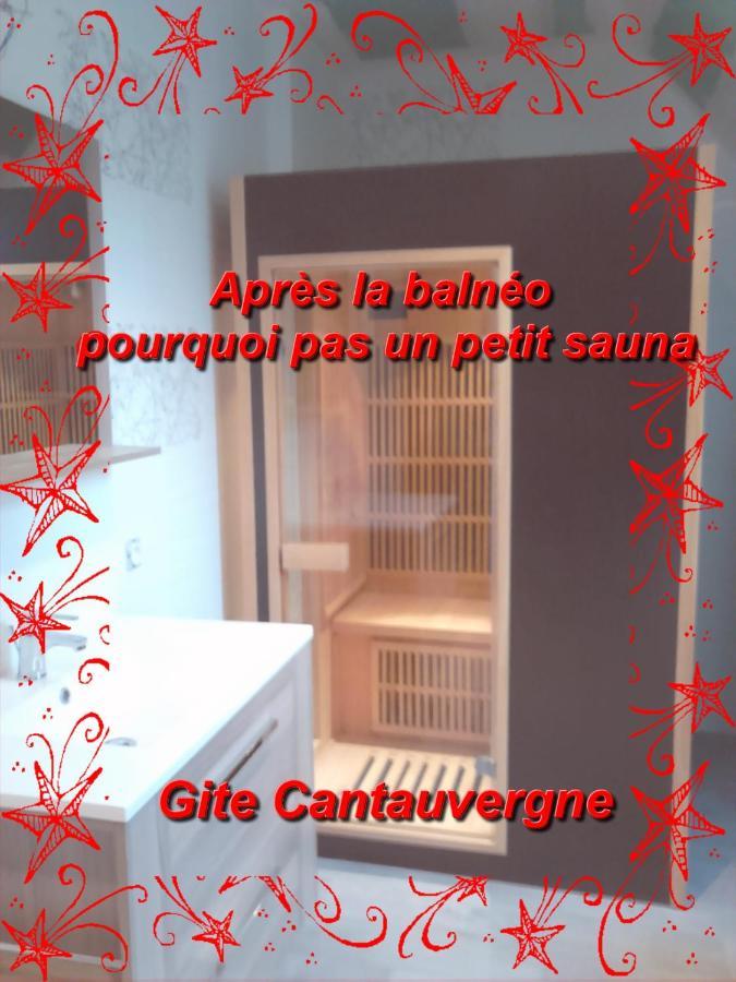 Villa Gite CANTAUVERGNE à Vebret Extérieur photo