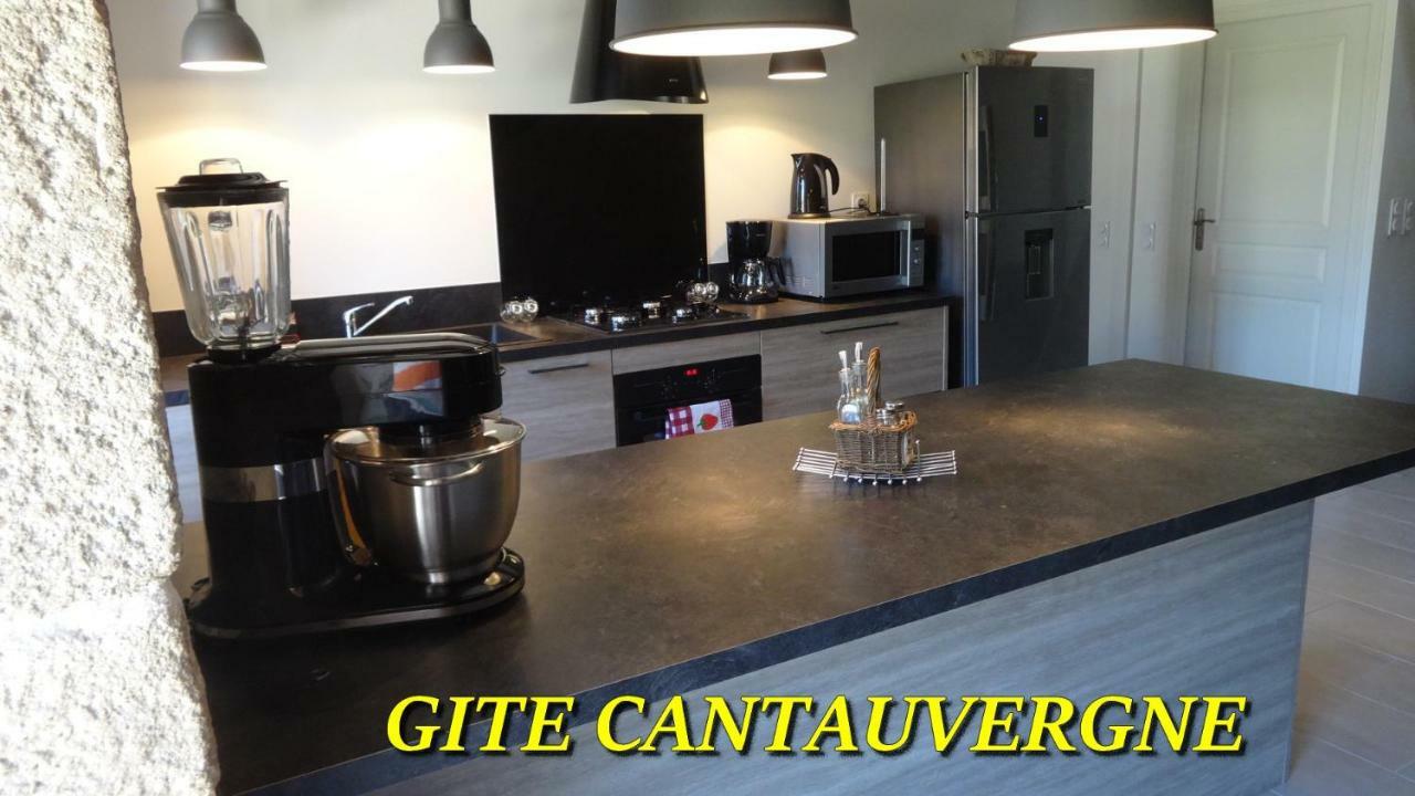 Villa Gite CANTAUVERGNE à Vebret Extérieur photo