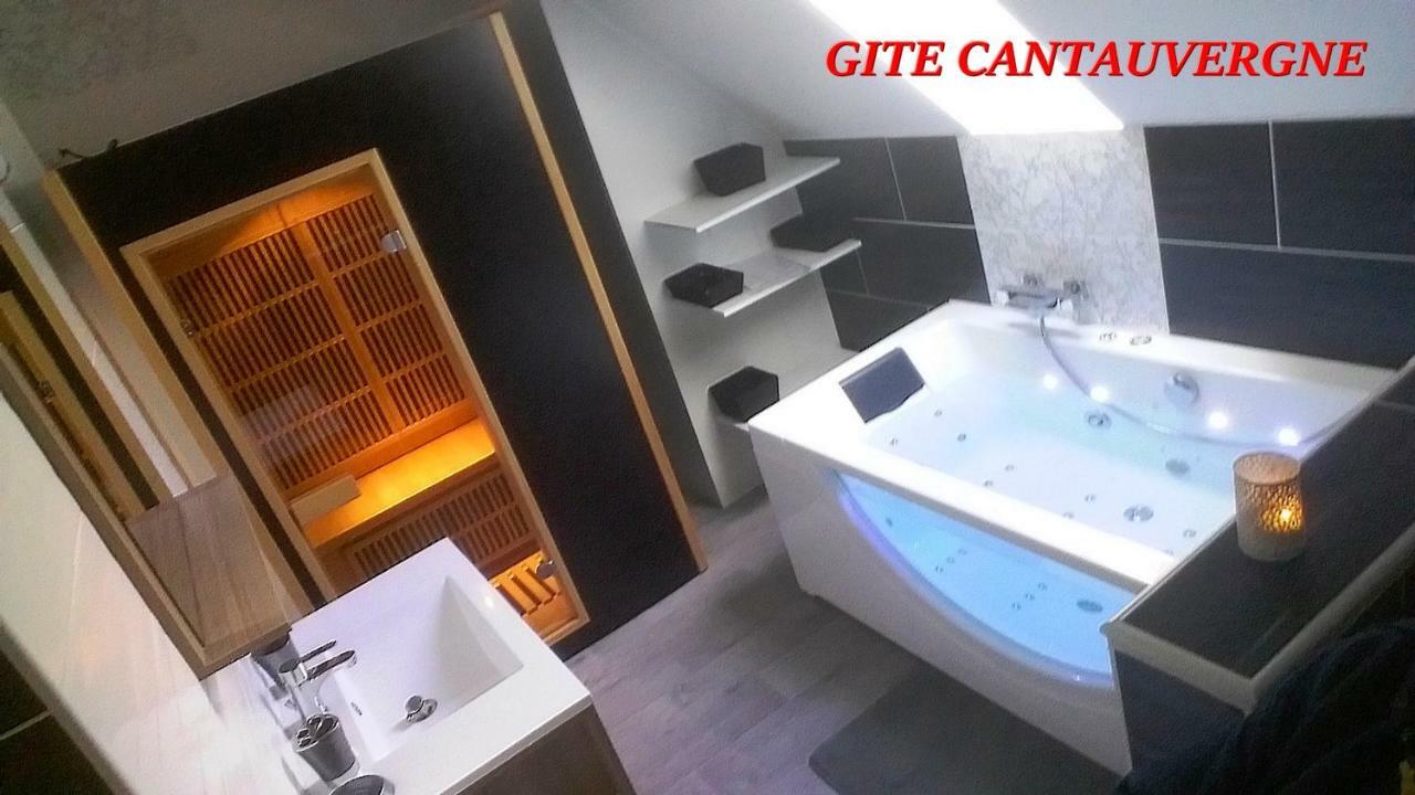 Villa Gite CANTAUVERGNE à Vebret Extérieur photo