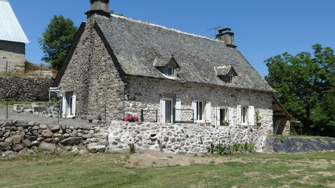 Villa Gite CANTAUVERGNE à Vebret Extérieur photo