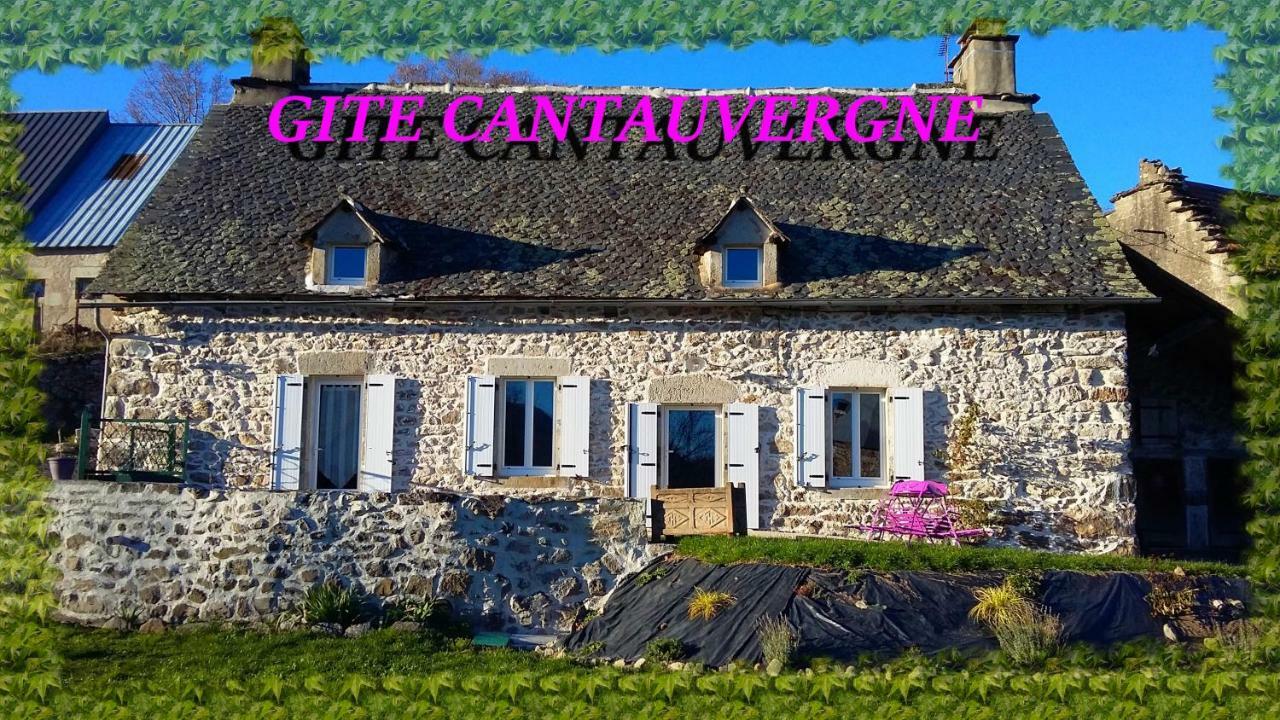 Villa Gite CANTAUVERGNE à Vebret Extérieur photo