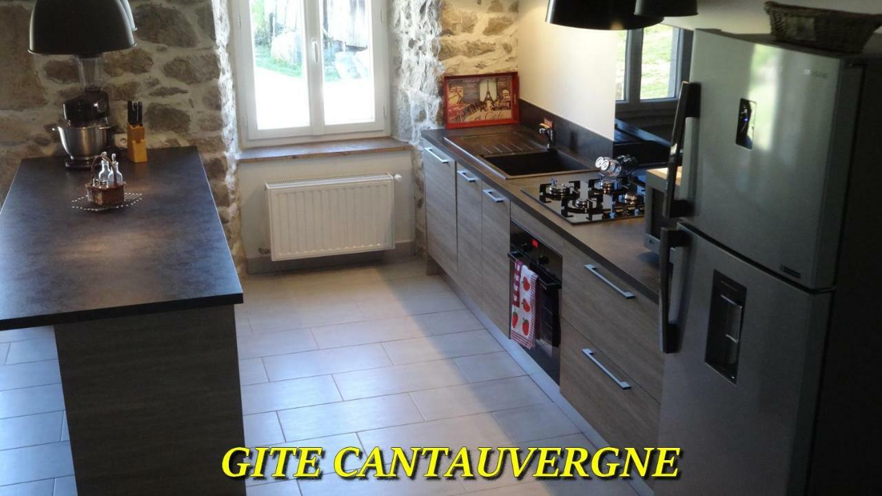 Villa Gite CANTAUVERGNE à Vebret Extérieur photo