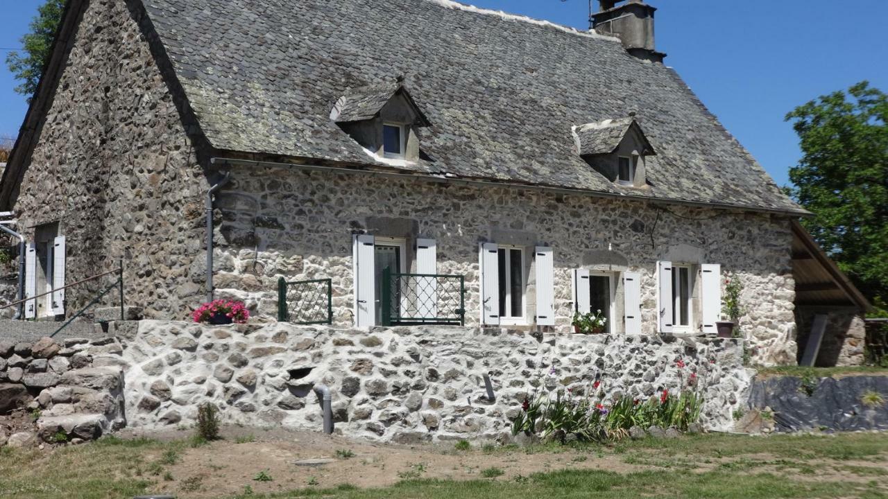 Villa Gite CANTAUVERGNE à Vebret Extérieur photo