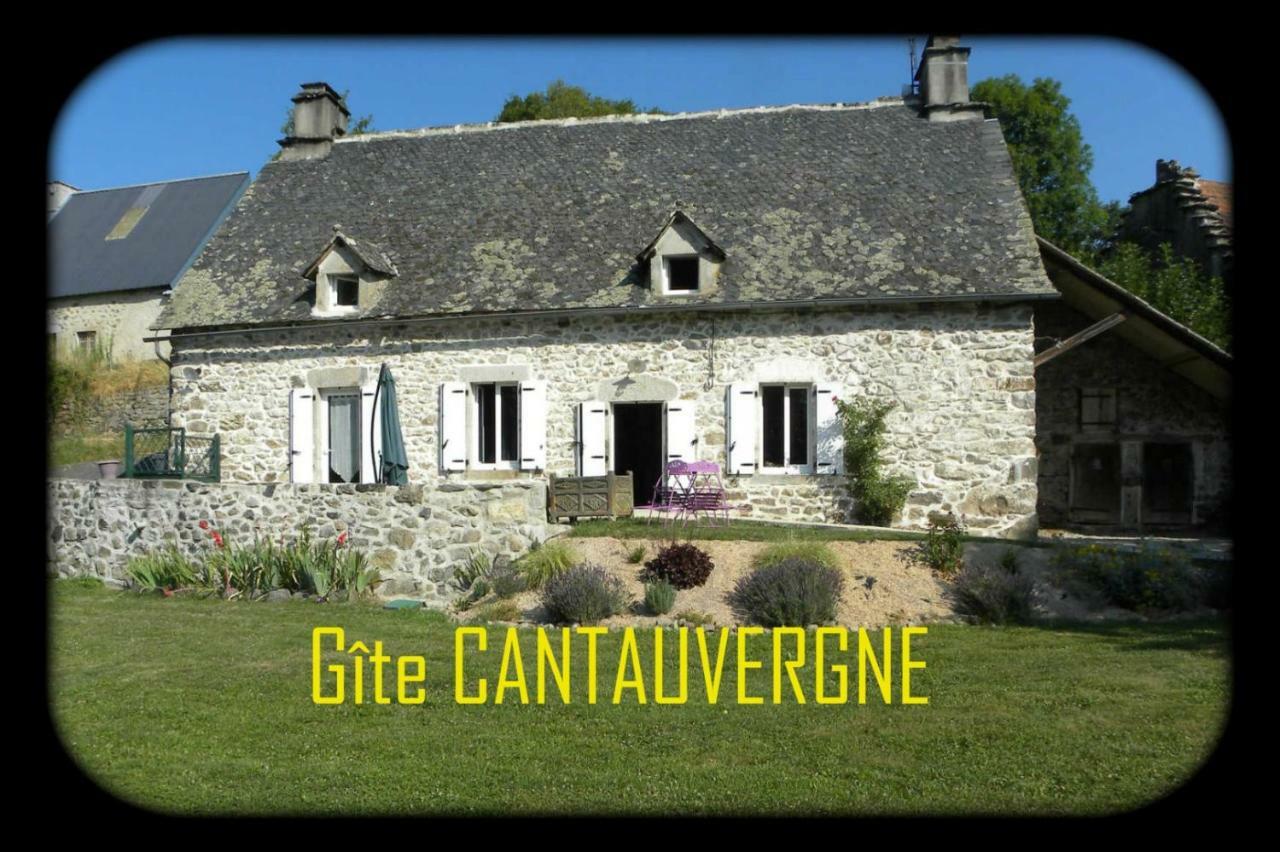 Villa Gite CANTAUVERGNE à Vebret Extérieur photo
