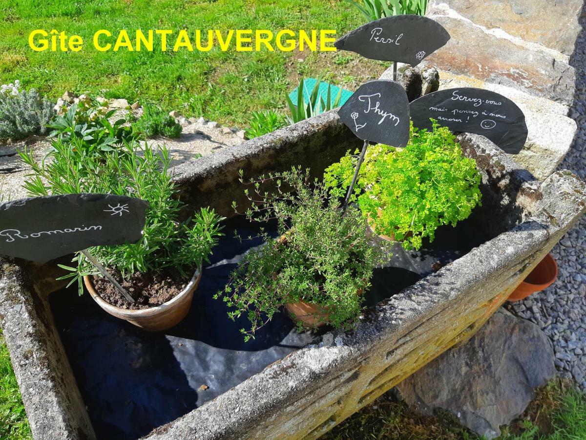 Villa Gite CANTAUVERGNE à Vebret Extérieur photo